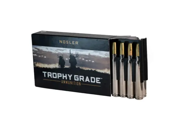 375 H&H Ammo