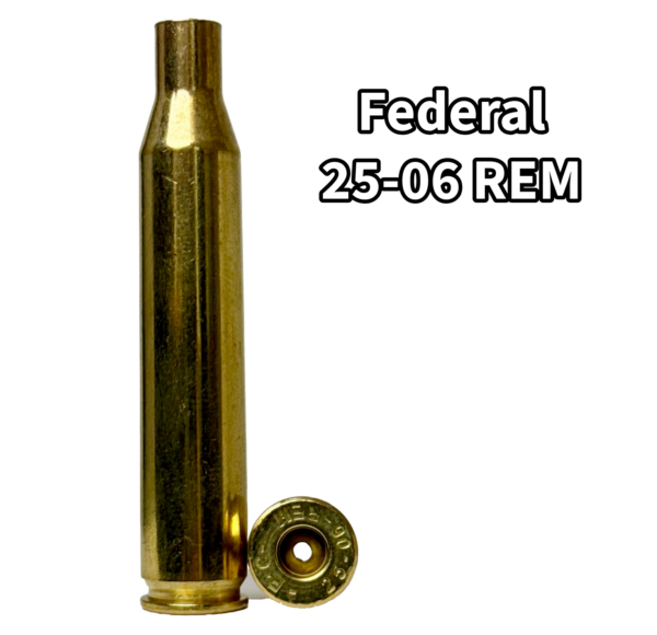 Federal 25-06 Rem Brass - 100 ct