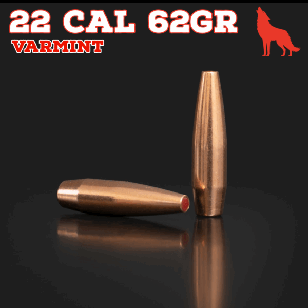 22 Cal (.224") 62gr Bullets - Varmint (seconds) - 250 ct
